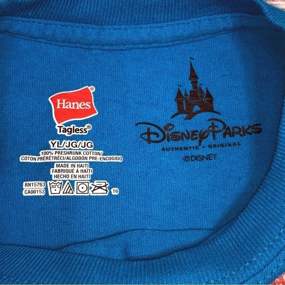 Disney authentic parks